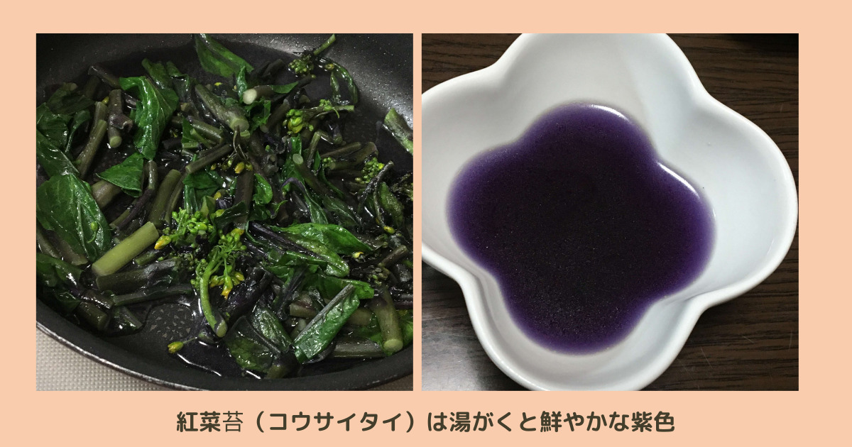 紅菜苔（コウサイタイ）は湯がくと鮮やかな紫色という画像