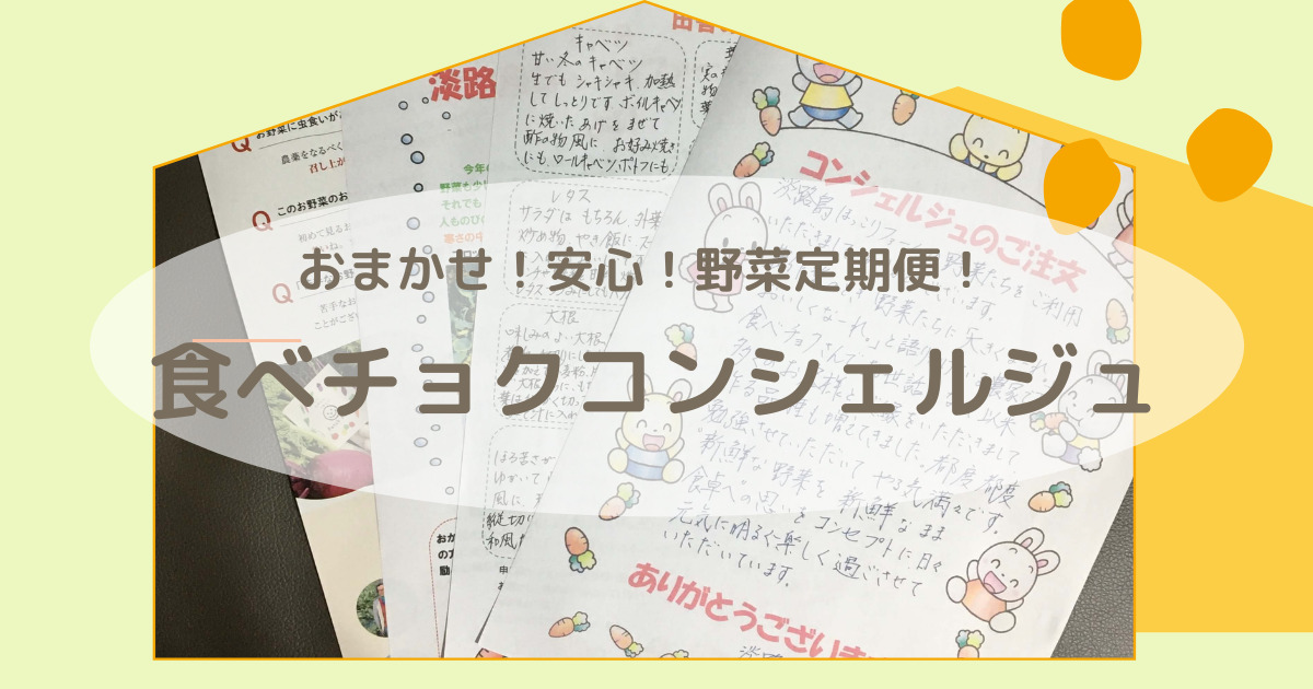 【初回限定1,000円オフ】「食べチョクコンシェルジュ」産直野菜の定期便！ 
